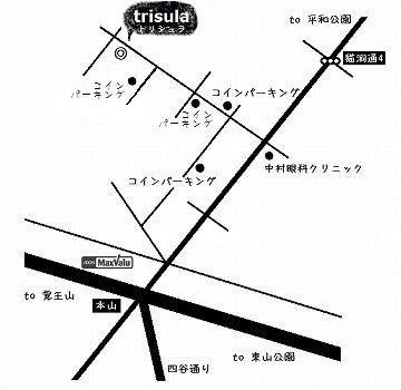 アクセス Access Trisula トリシュラ Holistic Space